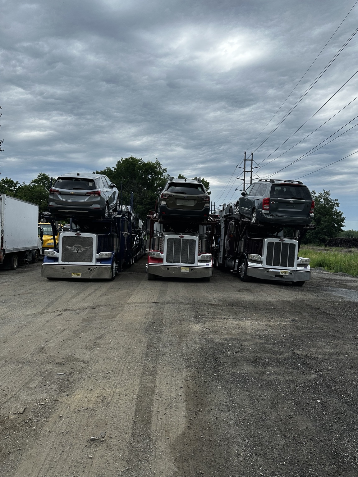 Three Golden Auto Transport car carriers together